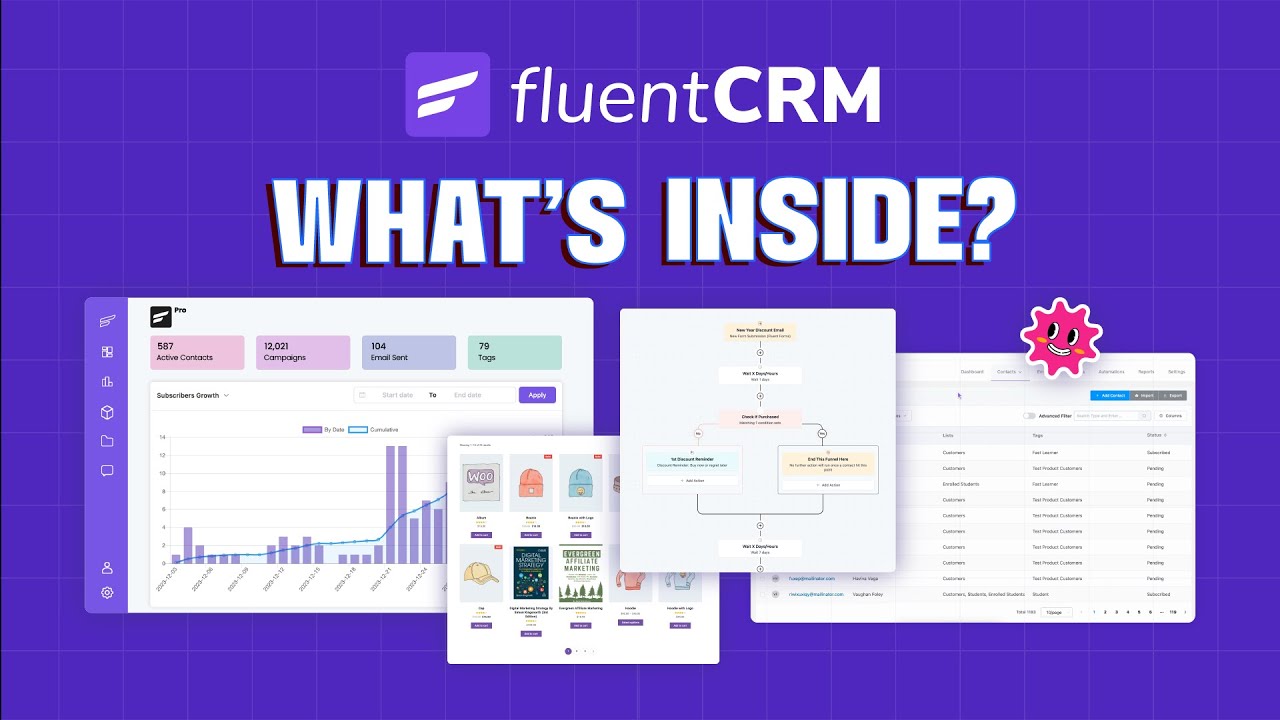 FluentCRM-PRO система